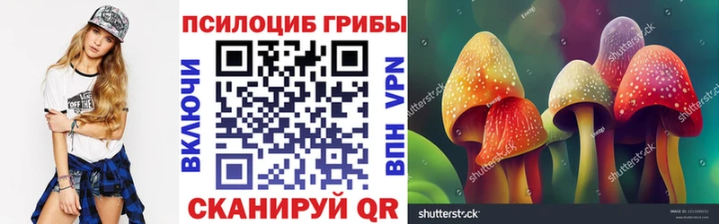Псилоцибиновые грибы GOLDEN TEACHER  магазин  наркотиков  Темников 